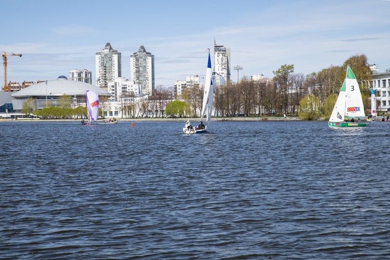 Парусная регатаphoto preview