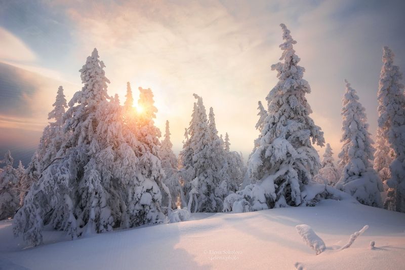 хребет, уреньга, горы, пейзаж, зима, зимний пейзаж, лес, куржак, снег, златоуст, челябинская область, урал Уреньгаphoto preview