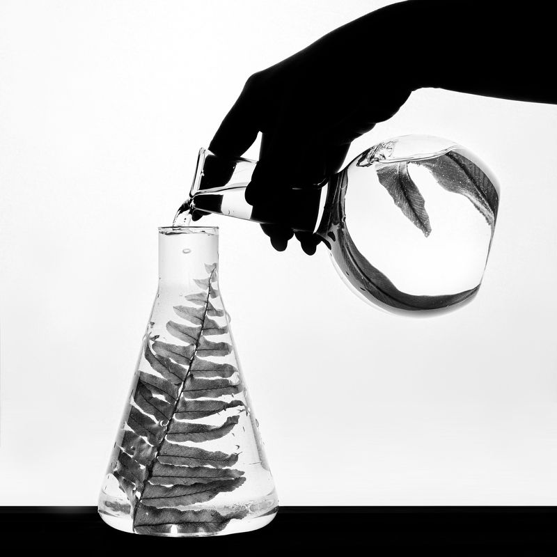 Силуэтноеphoto preview