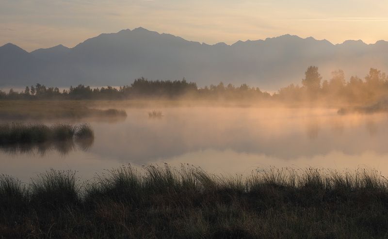 Летним туманным утромphoto preview