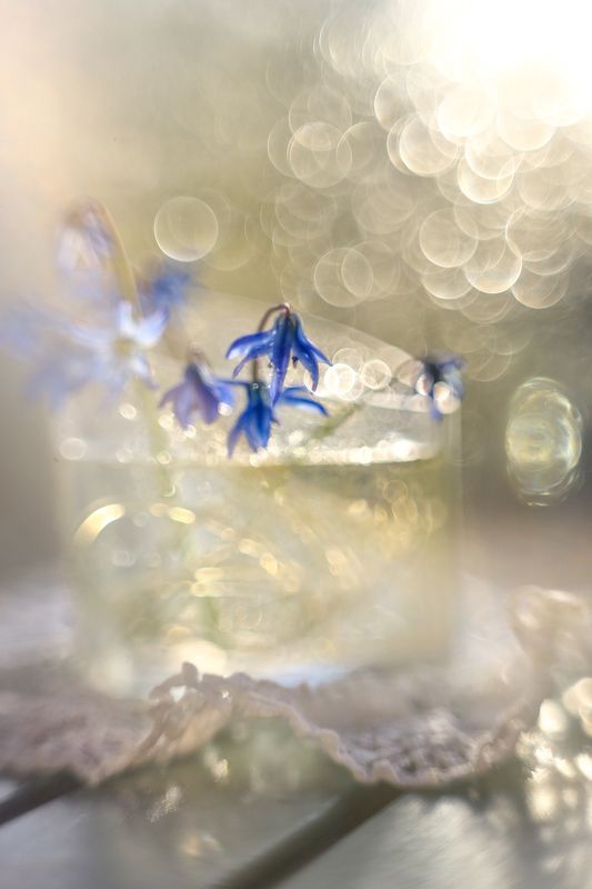 фантазии света, гелиос 44,весна Игра светаphoto preview