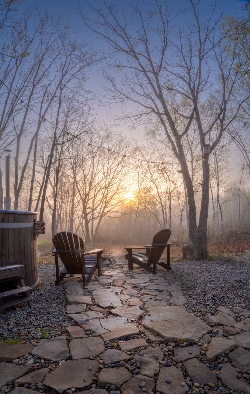 Утро в лесуphoto preview