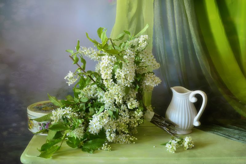 натюрморт,композиция,свет,весна,букет,черёмуха,кувшин Весенняя лирикаphoto preview