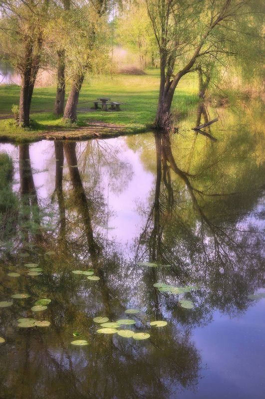 Полесская сторонаphoto preview