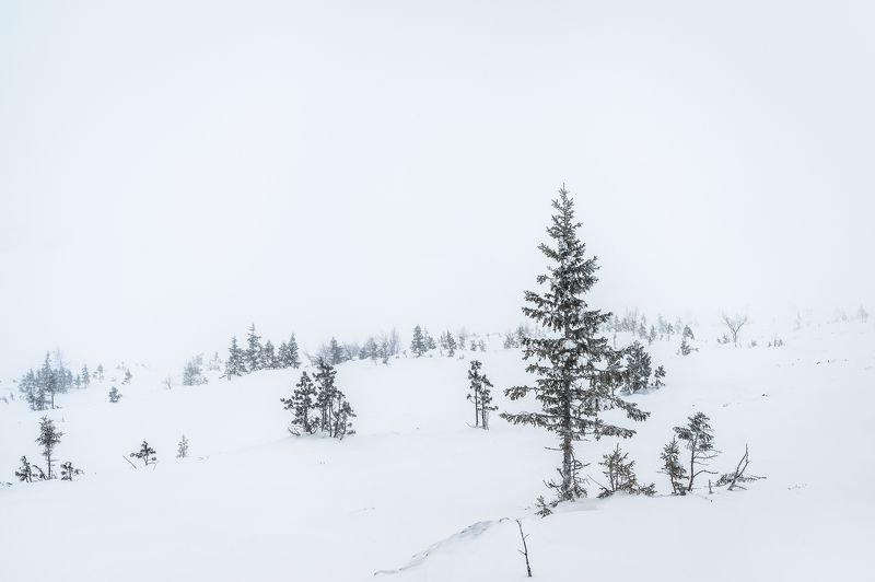 Урал, Северный Урал, горы, снег, Конжаковский камень Минимализм Северного Уралаphoto preview