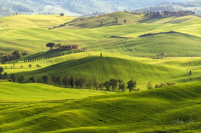 spring, sony, trees, field, tuscany, green, cypres, toscana Spring in Tuscanyphoto preview