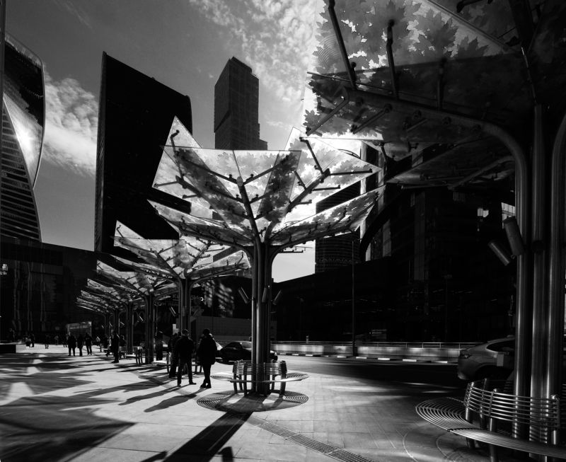 Искусственные деревья, МДЦ, листья, контровый свет, Москва Листья МДЦphoto preview