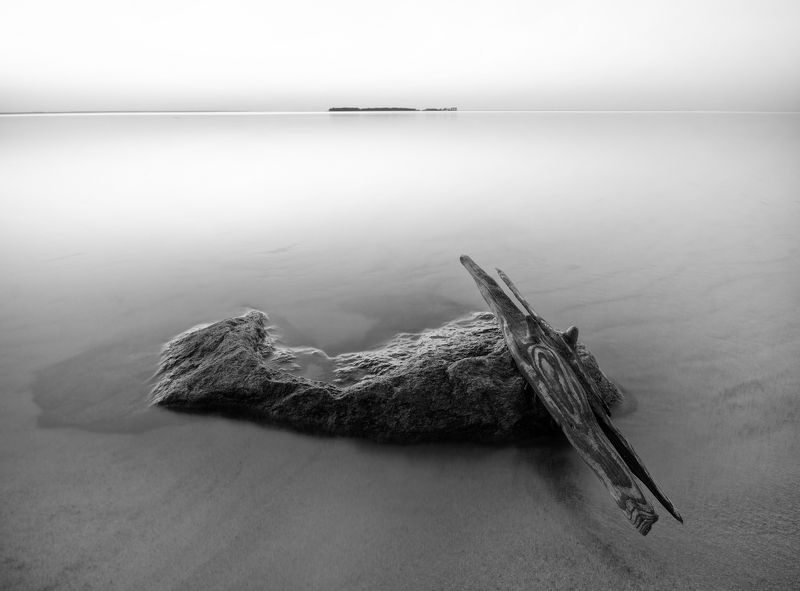 Последняя скрипкаphoto preview