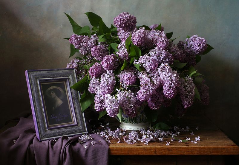 сирень Сиреневый натюрмортphoto preview