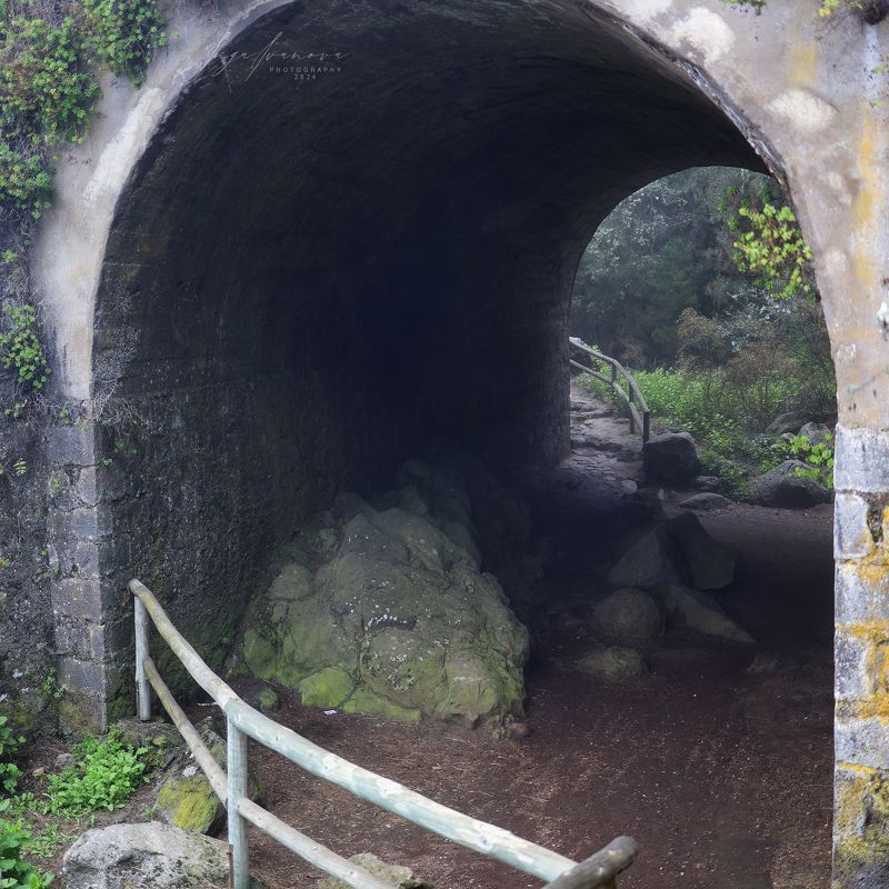 Teide, Canary Islands Tenerifephoto preview