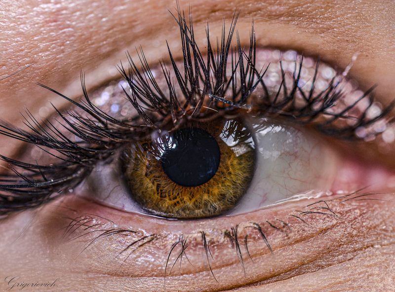 глаз. ресницы. радужная оболочка. зрачок Глазикphoto preview