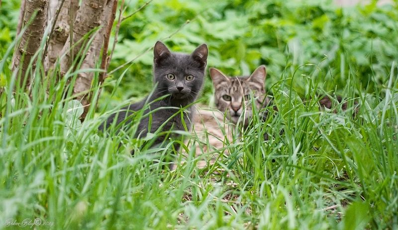 С мамой не страшно...photo preview