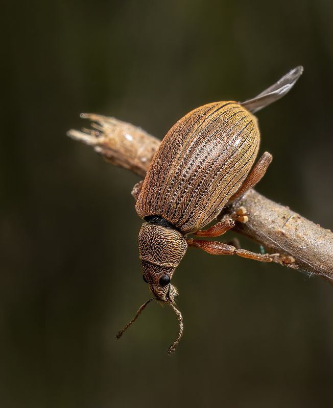 Улететь или упасть?photo preview