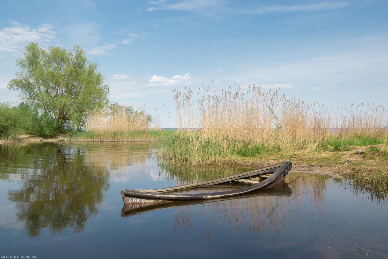 , Сипаева Катерина