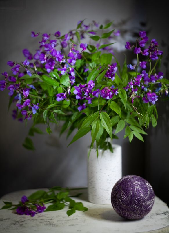 Чина весенняяphoto preview