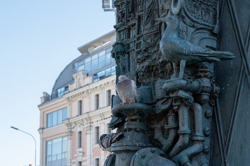 Птицыphoto preview