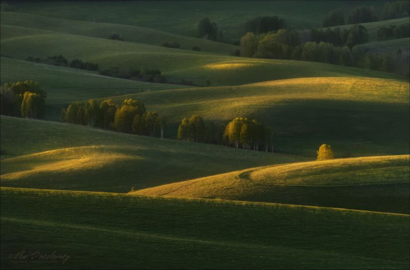 Лето по-алтайски..photo preview