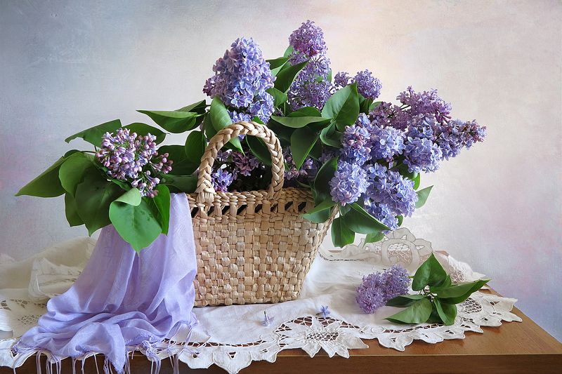 натюрморт,весна,сирень,корзина,салфетка,шарф Цветет сиреньphoto preview