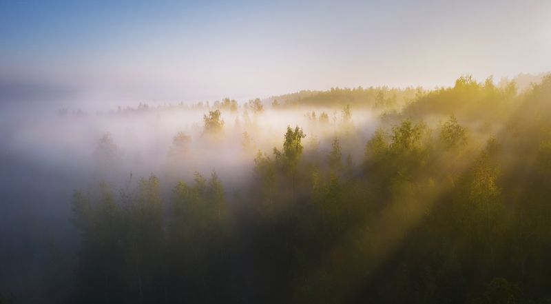 Акварель на рассветеphoto preview