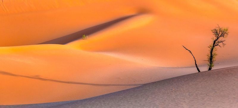 The Shadow фото превью