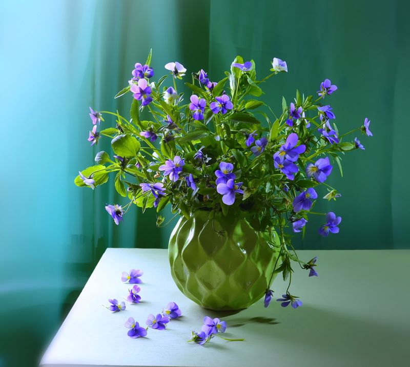 натюрморт,композиция,свет,весна,букет,фиалка ***photo preview