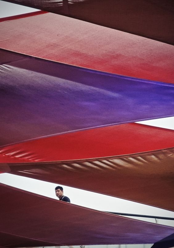 street,street photography photo preview