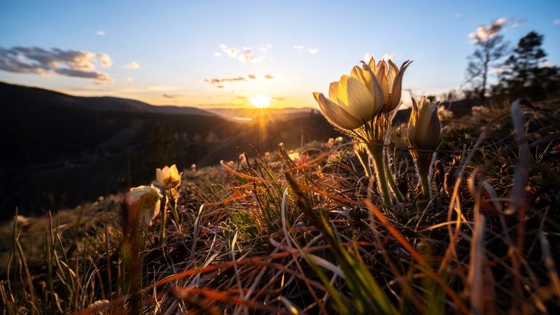 торгашинский хребет, красноярск. laowa 9mm Луч солнца золотогоphoto preview