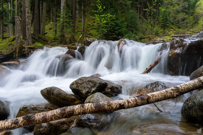 река Белаяphoto preview