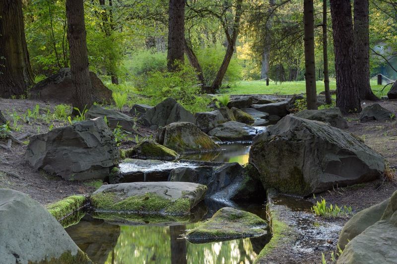 японский, сад В «Японском саду»photo preview