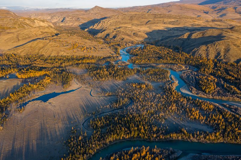 алтай, осень, горы, река, altay, autumn, mountains, river photo preview