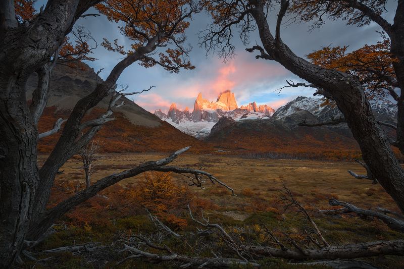 Chaltenphoto preview