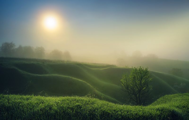 Изумрудный прибойphoto preview