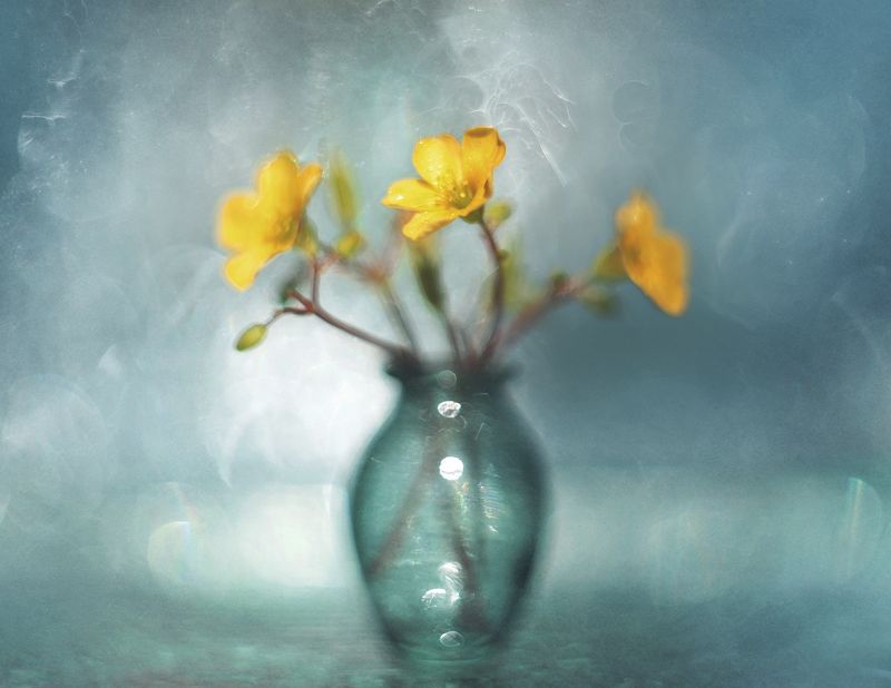 Макро-натюрмортphoto preview