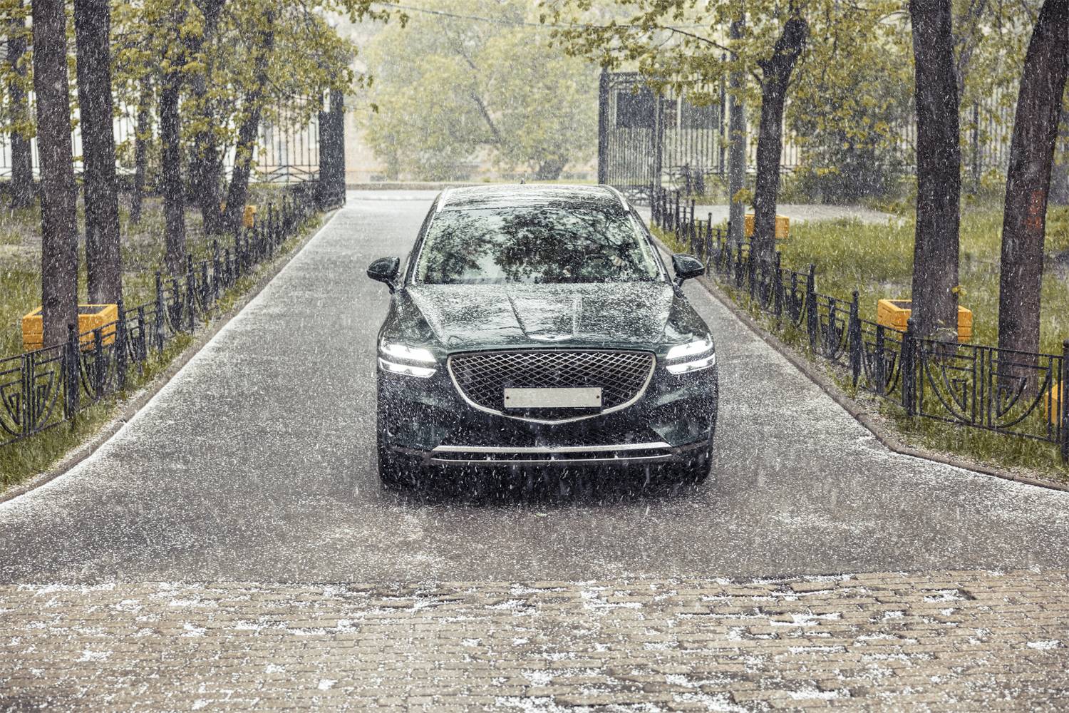 , Шурчков Юрий