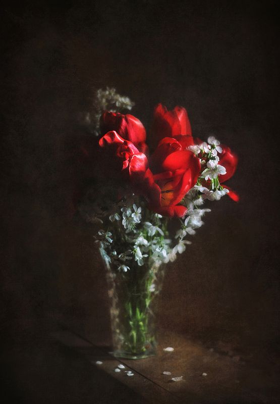 тюльпаны, весна  Устами весныphoto preview