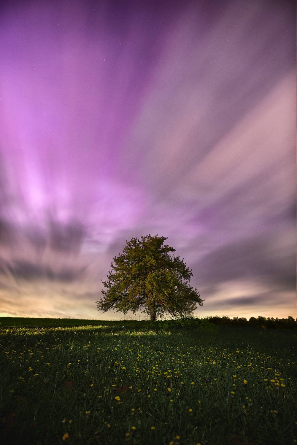 , Андрей Баскевич