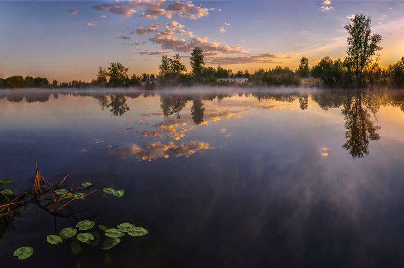 лето, утро, рассвет, вода, туман, свет, озеро В начале дняphoto preview