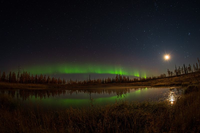 Тундра вечерняяphoto preview