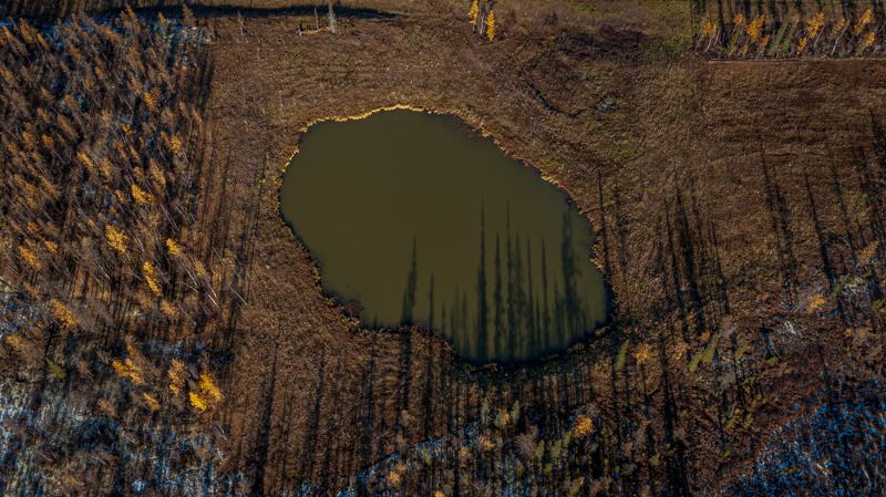 Отражениеphoto preview