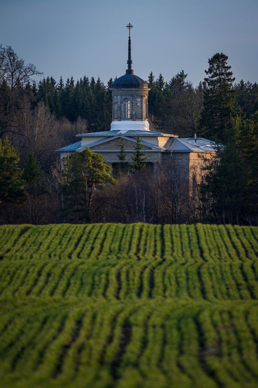 Веснаphoto preview