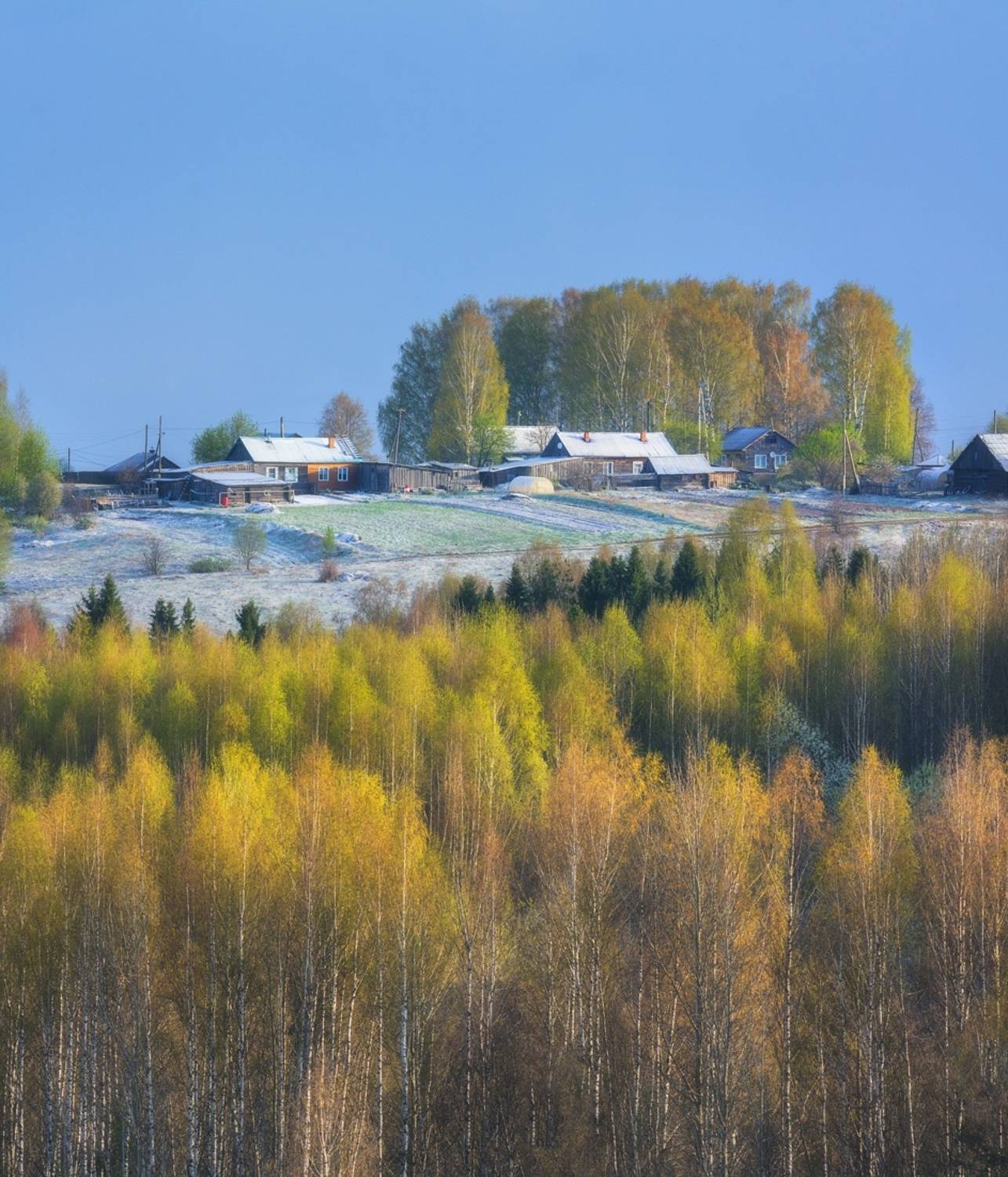 Когда зима встретила лето. Автор: Михаил , Михаил