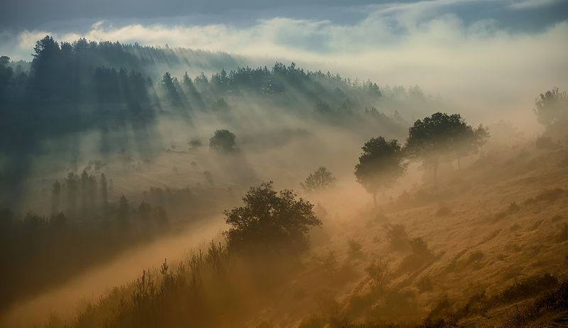 Sunny Octoberphoto preview