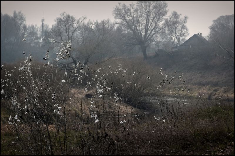 настроение, пейзаж, поздняя осень, россия, сумерки, времена года, короткий день, пасмурно, ноябрь - сумерки годаphoto preview