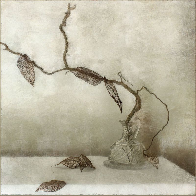 winter is comingphoto preview