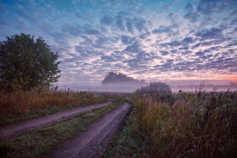 Ранним утромphoto preview