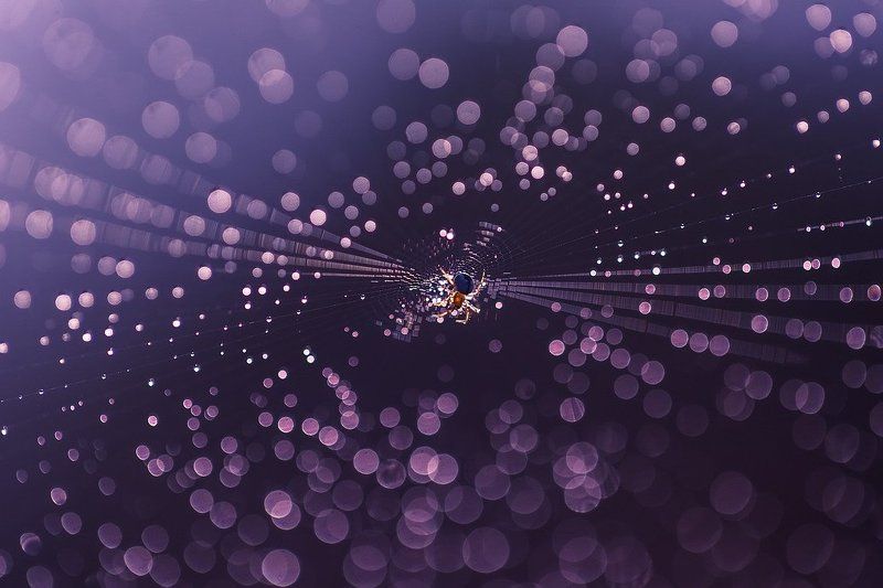 Где то в солнечной системеphoto preview