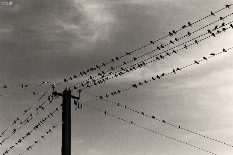 Присядем на дорожку...photo preview