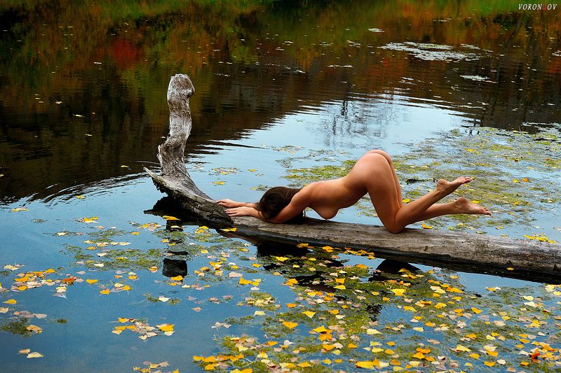 Красиво, девушка, ню, beauty, nymph, girl, nude На поклон  водяномуphoto preview