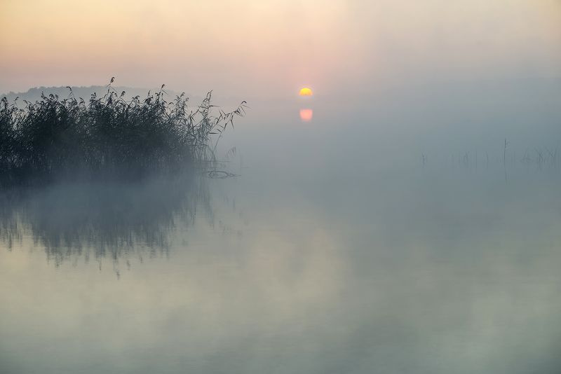 Bосходphoto preview