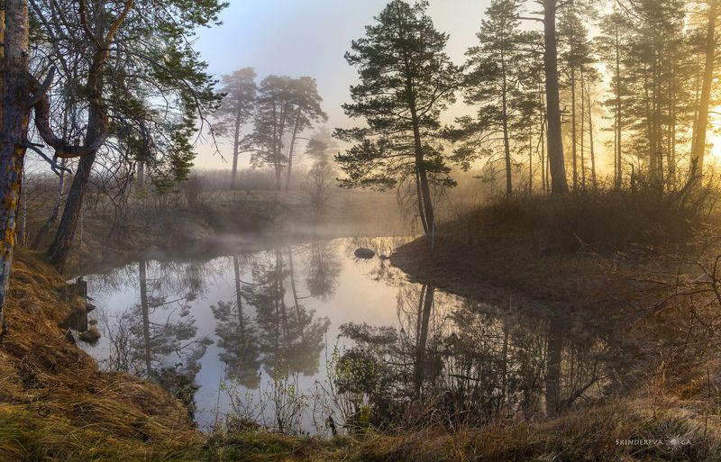 Здравствуй, новый деньphoto preview